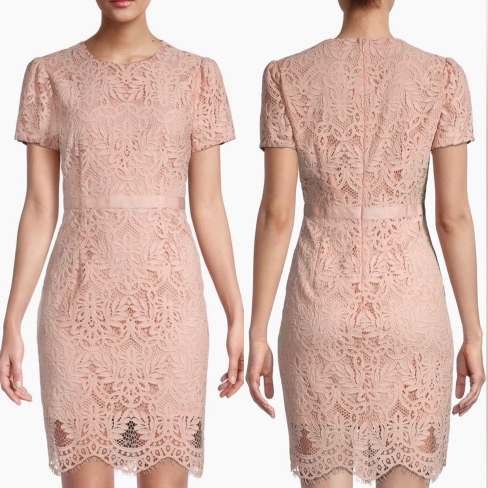 Rachel Parcell Floral Lace Sheath Mini Dress in Rose Smoke Pink